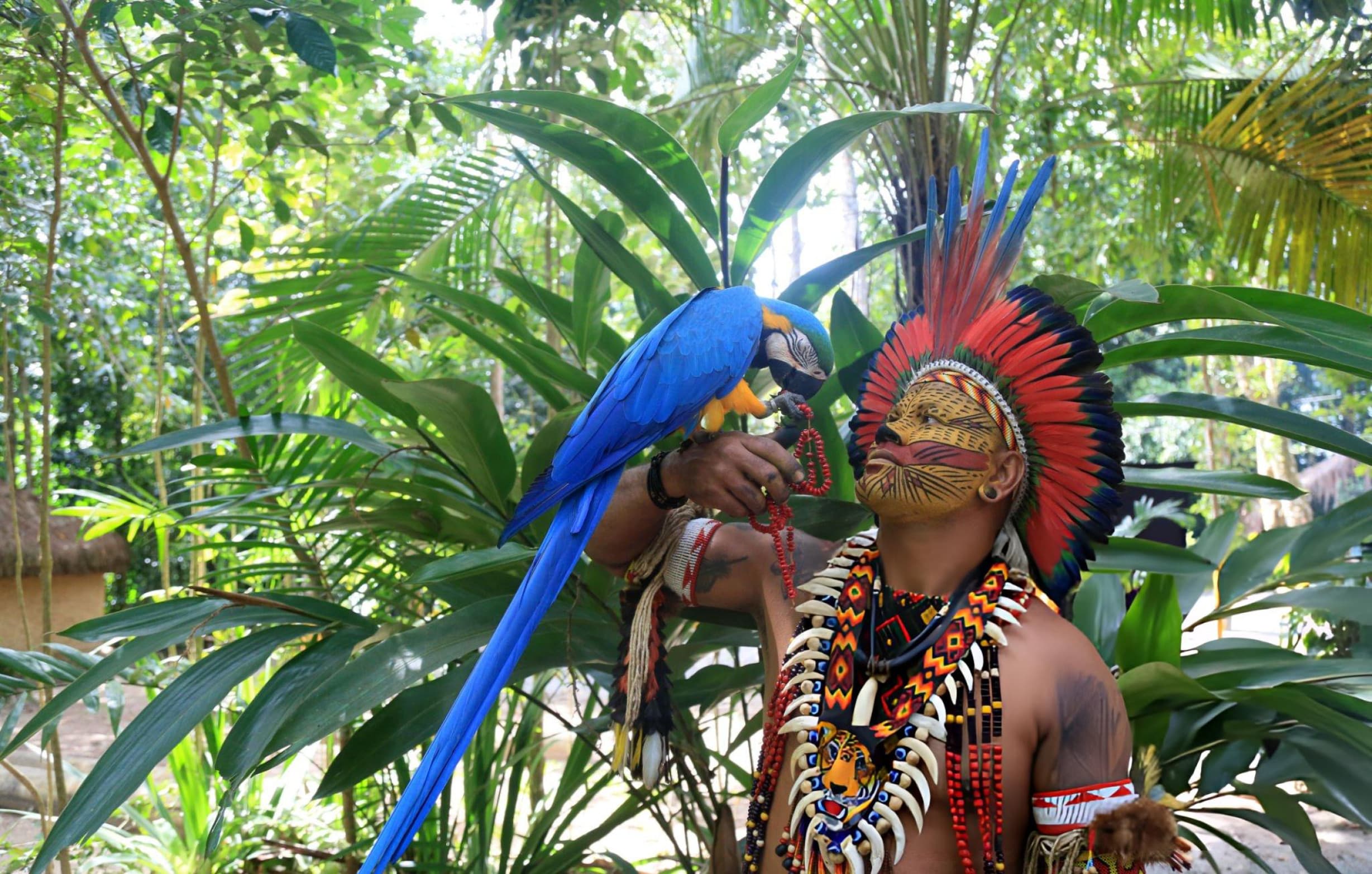 Inmersión Amazónica