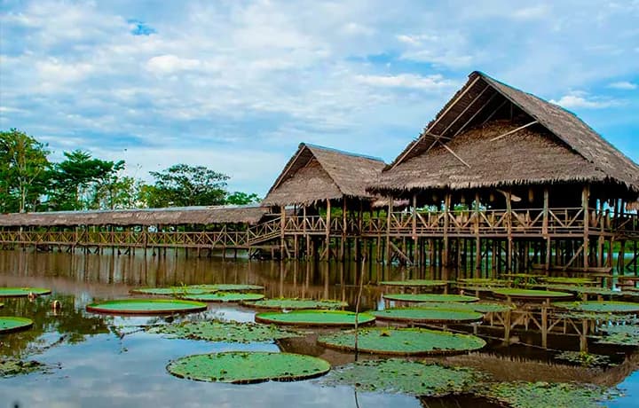 DIA 4 - LLEGADA AL AMAZONAS