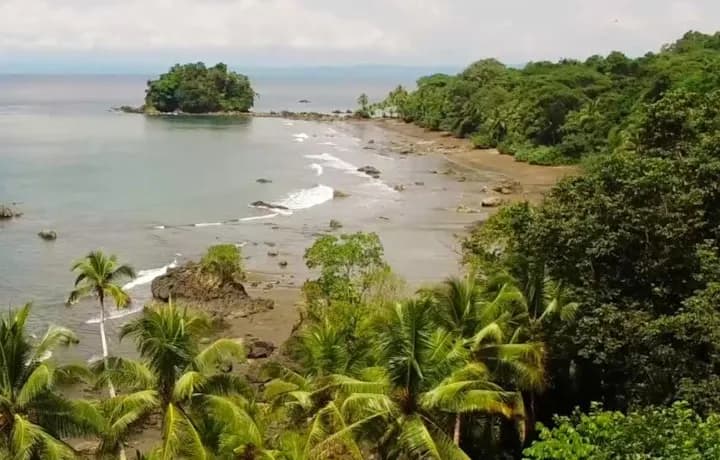 Día 5 - DÍA 5 - BAHÍA SOLANO - TOUR PLAYA DE LOS DESEOS – AVISTAMIENTO DE BALLENAS