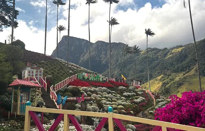 Día 6 - DIA 6 – EJE CAFETERO - PUEBLIANDO FIILANDIA, SALENTOY VALLE DEL COCORA