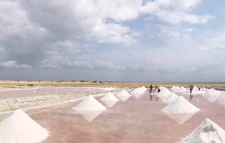 Día 5 - Día 5 – RIOHACHA – CABO DE LA VELA – MANAURE