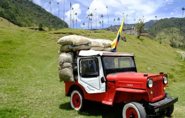 Día 7 - Medellín – Eje Cafetero