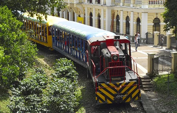 Día 12 - Medellín o Bogotá