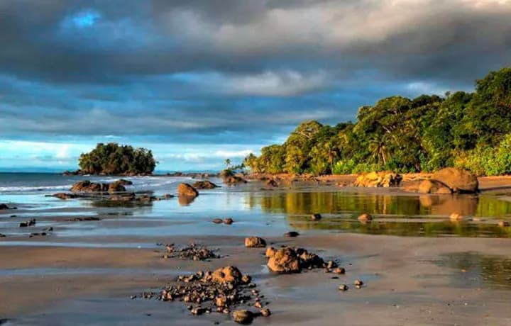 Día 7 - DÍA 7 – NUQUI – REGRESO LUGAR DE ORIGEN