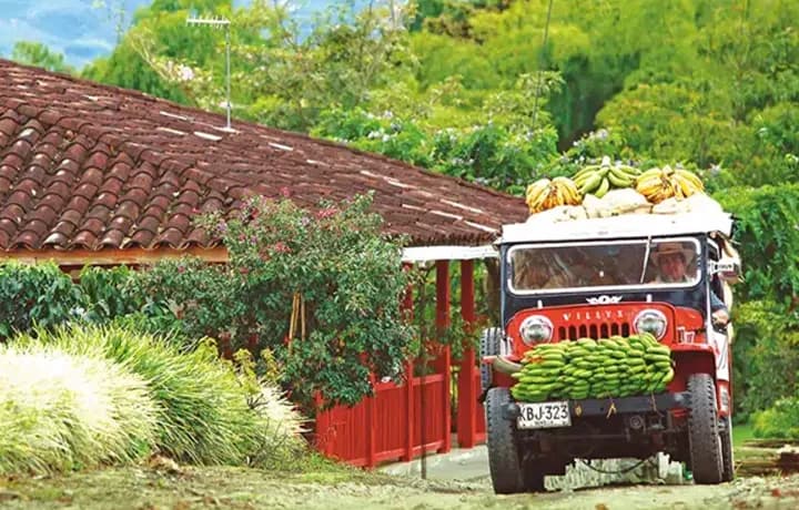 Día 7 - Día 7 – REGRESO A LA CIUDAD DE ORIGEN