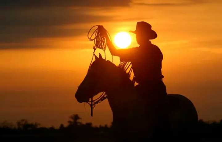 Día 4 - DÍA 4 – MEDELLIN – VILLAVICENCIO – City tour Villavicencio – Monumento del Coleo.