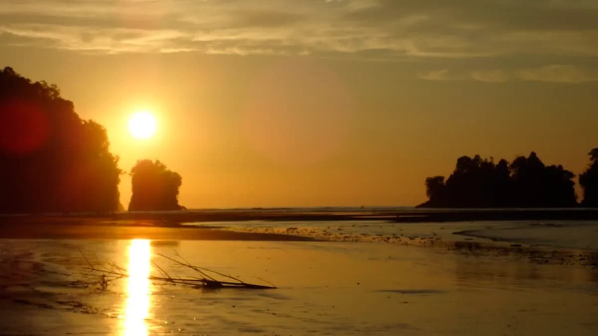 Día 7 - DÍA 7 – NUQUI – REGRESO LUGAR DE ORIGEN