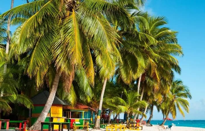 Día 7 - Día 7 – SAN ANDRÉS - REGRESO