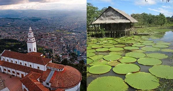 Plan Turístico Bogotá Y Amazonas 7 Días 6 Noches – City tour histórico, Catedral de Sal de Zipaquirá, Leticia, Puerto Nariño, Isla de los Micos y experiencia en el Río Amazonas